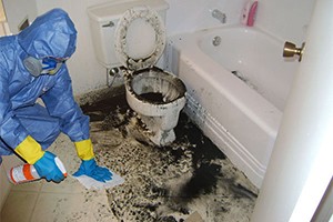 Sewage damage clean up is absolutely necessary to ensure hygienic surroundings