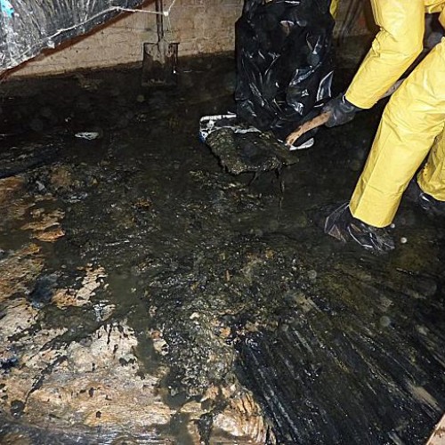 Burst Sewage Pipe Cleanup & Decontamination Sydney