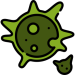 Mould icon Mould icon